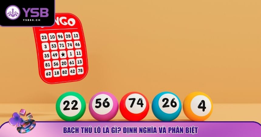 Tổng quan về bạch thủ lô là gì