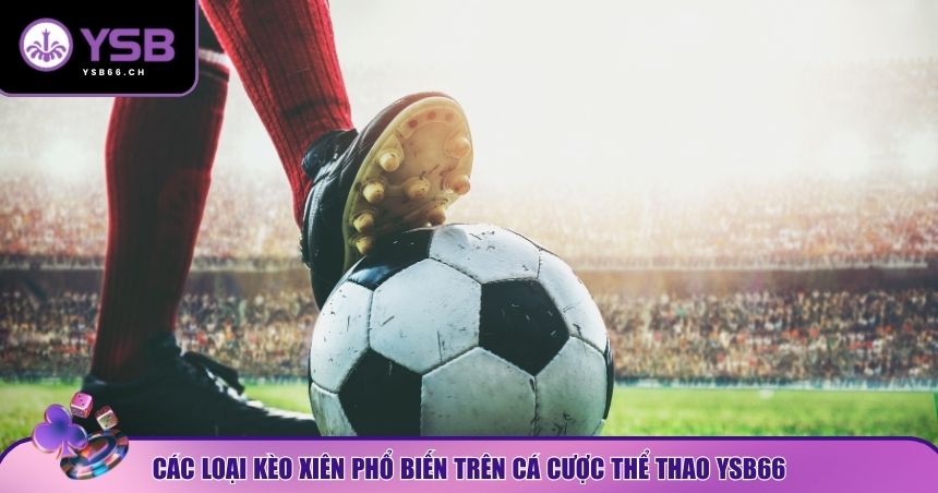 Top các loại kèo xiên YSB66 phổ biến