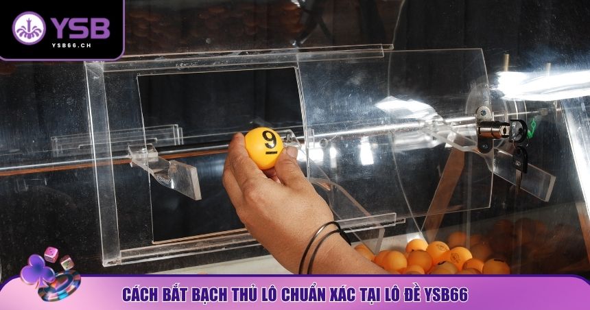 Hướng dẫn bắt bạch thủ tại YSB66