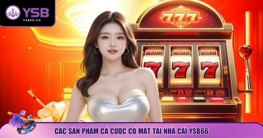 Sản phẩm cược của YSB66