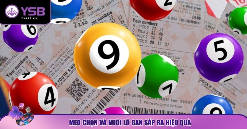 Chiến lược rõ ràng để không bị “đuối vốn” hay nuôi lô gan sai cách