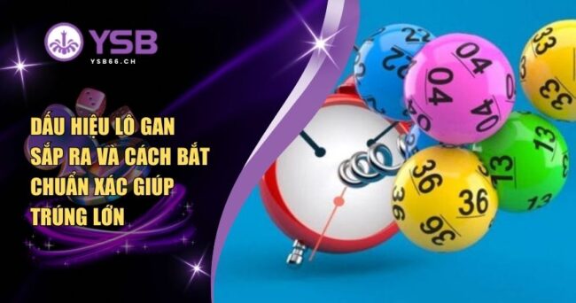 dấu hiệu lô gan sắp ra