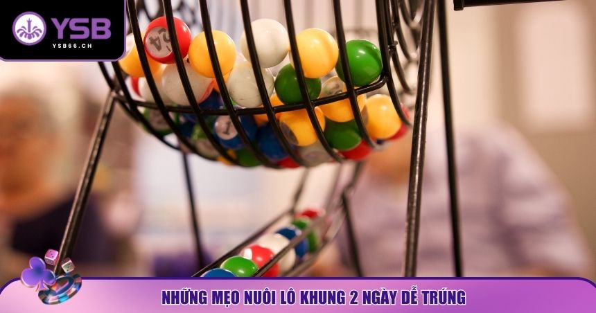 Những mẹo nuôi lô khung 2 ngày dễ trúng